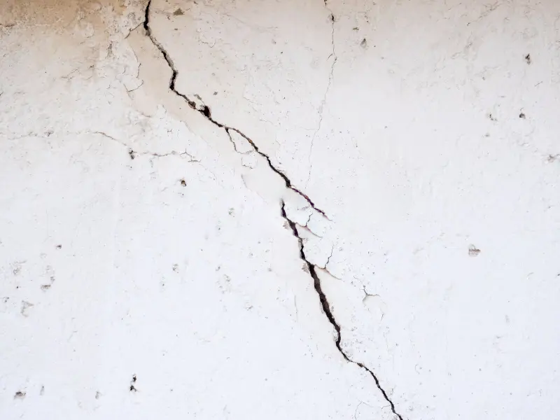 Cladding and Apartment Defects